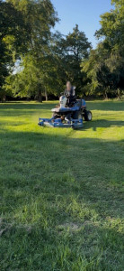 Photo de galerie - Tonte de pelouse