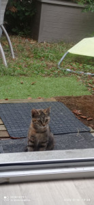 Photo de galerie - ?