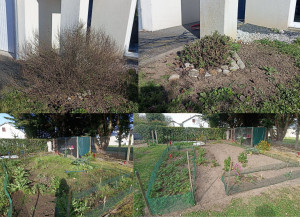 Photo de galerie - Jardinier