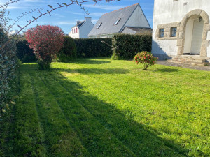 Photo de galerie - Tonte de pelouse - Débroussaillage