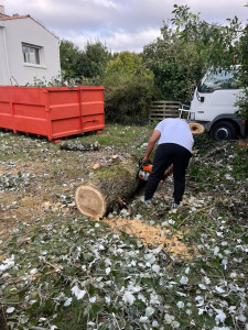 Photo de galerie - Coupe d’arbres 