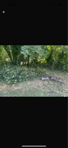 Photo de galerie - .