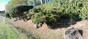 Photo de galerie - Nettoyage talus et fossé 