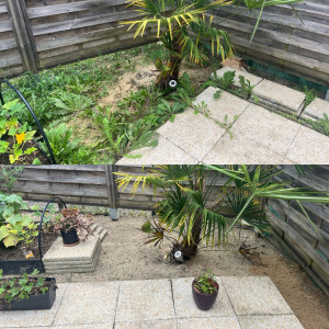 Photo de galerie - Remise au propre, désherbage 