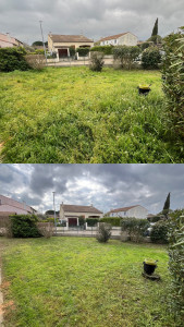 Photo de galerie - Tonte de pelouse 