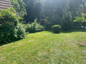 Photo de galerie - Tonte + taille 
