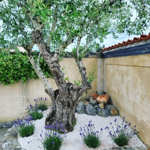 Photo de galerie - Paysagiste - Aménagement du jardin