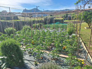 Photo de galerie - Jardinier