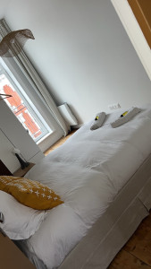 Photo de galerie - Ménage