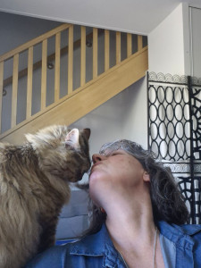 Photo de galerie - Pet-sitter: je rends visite à vos chats en votre absence, et prends soin de leur bien être selon vos instructions.  ou je promène et rends visite  vos chiens lors d'une incapacité ou d'une absence. 