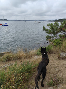 Photo de galerie - Balade dans le golfe du Morbihan 