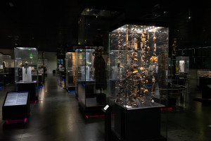 Photo de galerie - Photographe