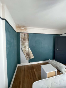 Photo de galerie - Peinture - Tapisserie