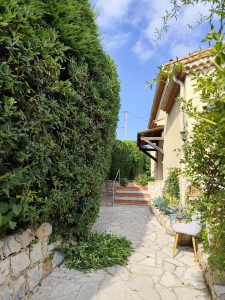 Photo de galerie - Taille d'une haie 