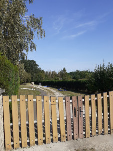 Photo de galerie - Taille de haie