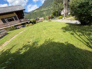 Photo de galerie - Tonte régulière