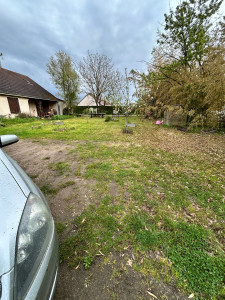 Photo de galerie - Tonte fini 