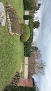 Photo de galerie - Taille + tonte 