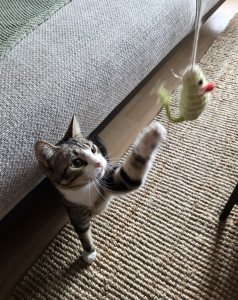 Photo de galerie - Aller Haku ...