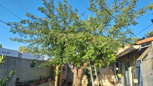 Photo de galerie - Avant 