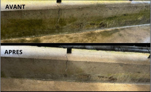 Photo de galerie - Nettoyage d’un muret ( Avant Après ) 