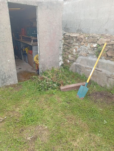 Photo de galerie - Tonte de pelouse - Débroussaillage