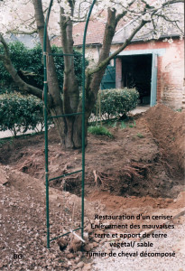 Photo de galerie - Paysagiste - Aménagement du jardin