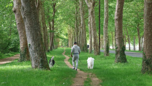 Photo de galerie - Promenade en famille pour P. et P. 