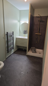 Photo de galerie - Rénovation SDB