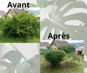 Photo de galerie - Jardinier et paysagiste 