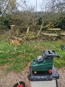Photo de galerie - Broyage et évacuation de branches 