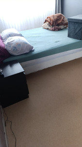 Photo de galerie - Ménage