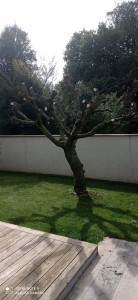 Photo de galerie - Après 