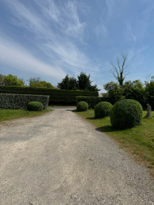 Photo de galerie - Taille de haies 
