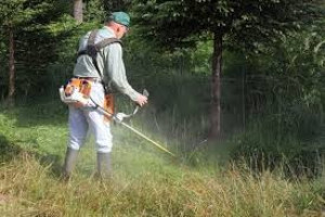 Photo de galerie - Jardinier