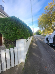 Photo de galerie - . 