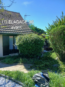 Photo de galerie - Taille de haies et d'arbustes