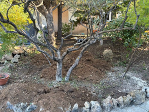 Photo de galerie - Paysagiste - Aménagement du jardin