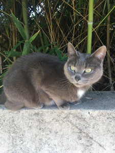 Photo de galerie - Mode de garde visite à domicile 