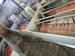 Photo de galerie - Nettoyeur haute pression / Karcher