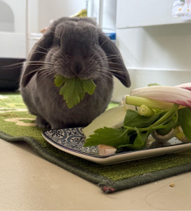 Photo de galerie - Candy 