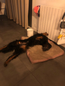 Photo de galerie - Il est heureux là ! 