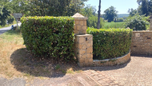 Photo de galerie - Taille de haies