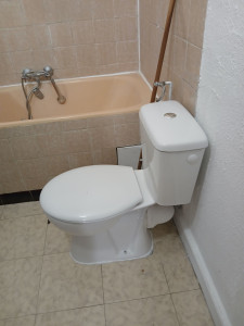 Photo de galerie - Remplacement cuvette d'ensemble  fourni par le client 