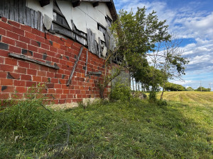 Photo de galerie - Tonte de pelouse - Débroussaillage
