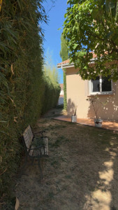 Photo de galerie - Taille de bambou 
