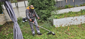 Photo de galerie - Réalisation débroussailleuse d'un jardin 60m2