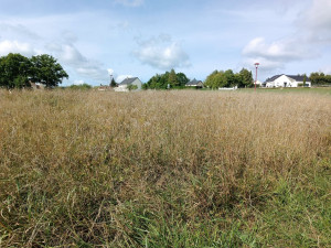 Photo de galerie - Avant travaux 