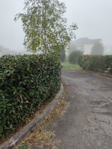 Photo de galerie - Les allez taille 