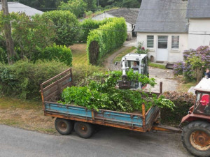 Photo de galerie - Dessouchage de haie 